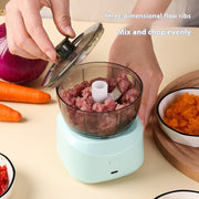 Multi-function Food Processor